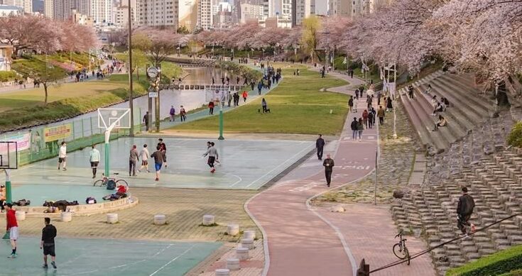 Phương pháp học tiếng Hàn qua các đoạn hội thoại cơ bản